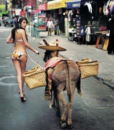 ass photo // 550x626 // 61.6KB